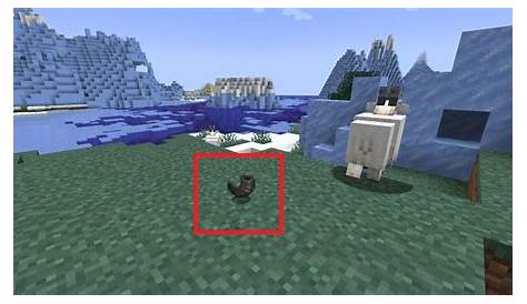How Do You Get Goat Horns In Minecraft