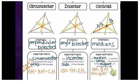 special segments in triangles worksheet answer key