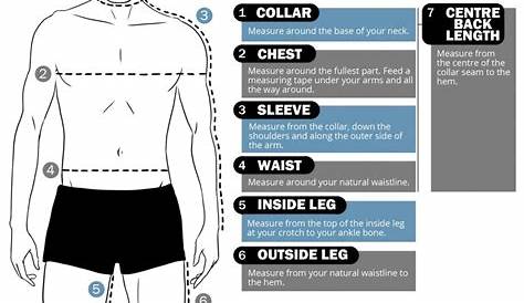 how to measure mens chest and waist - Louella Ritchie