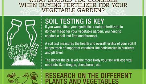 vegetable garden fertilizer recommendations