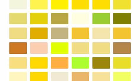 Shades Of Yellow: +50 Yellow Colors with Hex Codes