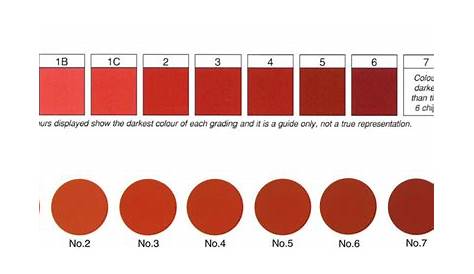 Meat color is determined not only by chromatic heme pigments but also