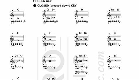 flute fingering chart | flute | Pinterest | Flute, Charts and Note