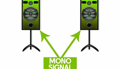 Mono VS Stereo Recording - What's The Absolute Best For You? - Wealthy