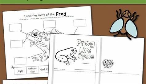 Frog Life Cycle Worksheets - Mamas Learning Corner