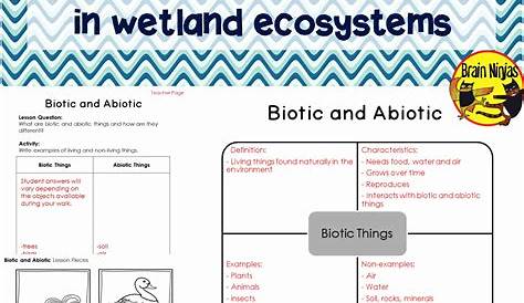 Abiotic and Biotic Factors Worksheet Best Of Abiotic and Biotic Factors