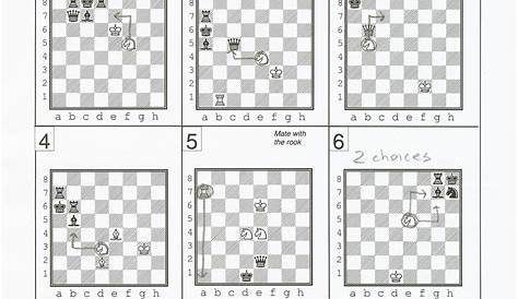 grade 1 chess facts bingo worksheet