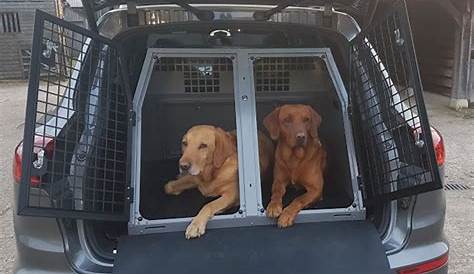 car cages for dogs uk