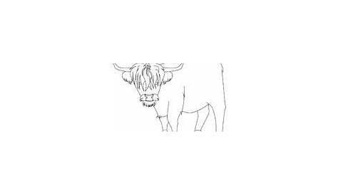 highland cattle coloring page