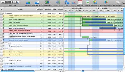 Gantt Chart Software