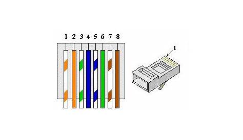 Wiring diagram Ref: Rj45 Cat6 Wiring Diagram Submited Images