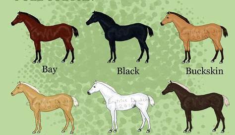These are all right except that "white" horse isn't white it's grey