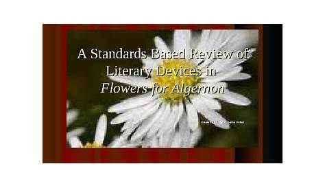 vocab flowers for algernon