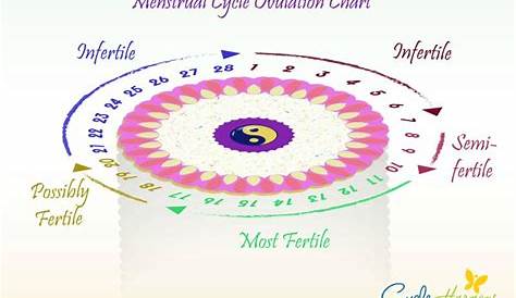Ovulation Chart - Cycle Harmony