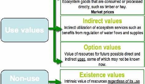 Classification of ecosystem services (PEARCE & WARFORD 1993) | Download