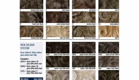 FREE 8+ Sample Hair Color Chart Templates in PDF