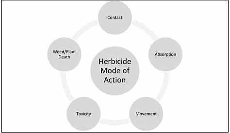 Modes of Action of Different Classes of Herbicides | IntechOpen