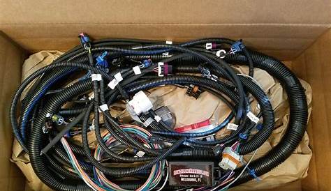 Ford 4.6 Stand Alone Wiring Harness
