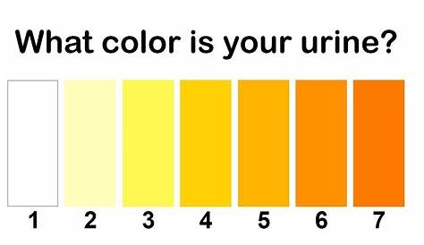 What The Color of Your Urine Says About Your Health - YouTube