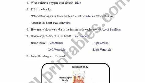 Label The Circulatory System Worksheet Answer Key: A Comprehensive