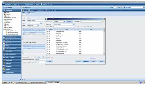 Printing the Chart of Accounts in Deltek Vision | BCS ProSoft