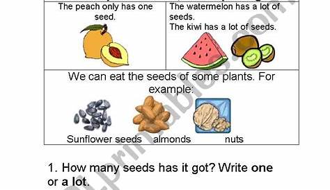 grade 5 seeds and seeds worksheet