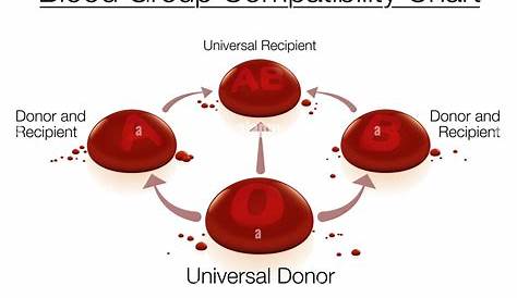 Blood group compatibility chart with universal donor 0 and universal
