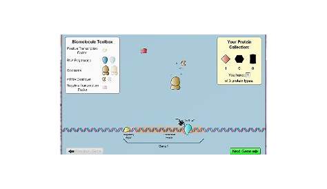 PhET Biology Simulations with Zac Cooper: Bio Sim Reviews