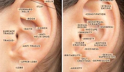 ear piercing pain chart by gender