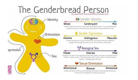 genderbread person worksheets