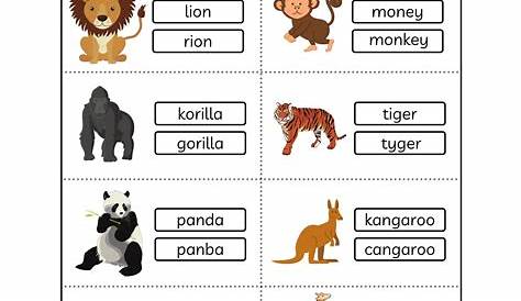 grade 1 animal features worksheet