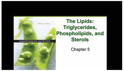 The Lipids (Chapter 5) - YouTube