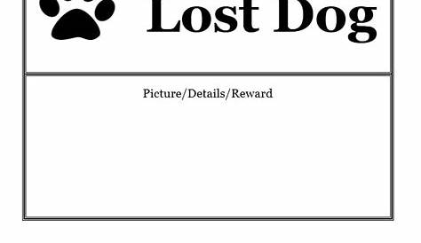 40 Lost Pet Flyers [Missing Cat / Dog Poster] - TemplateArchive