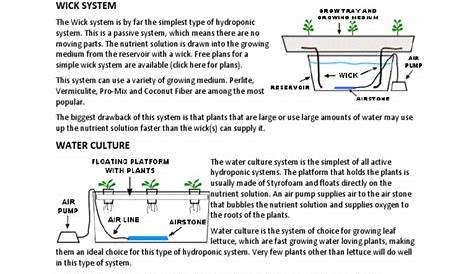hydroponics worksheets for students