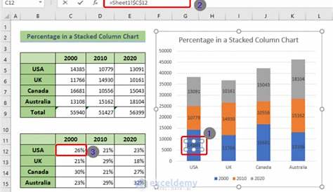 excel chart show percentage and value