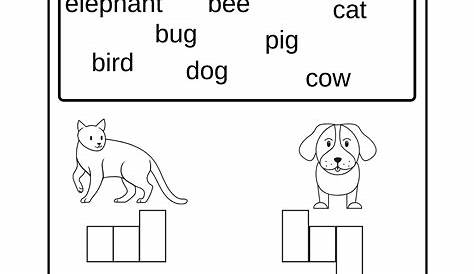 spelling activity worksheets