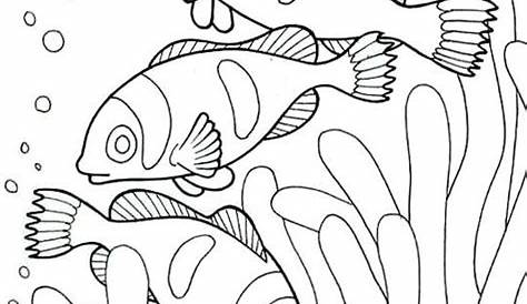 Sea Creature Drawing at GetDrawings | Free download