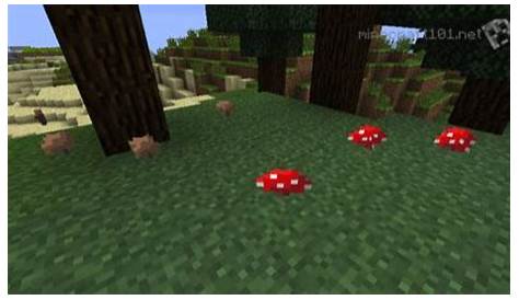 where can i find brown mushrooms in minecraft