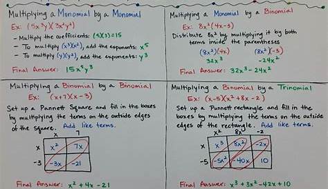 monomial binomial trinomial polynomial worksheet