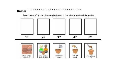 how to plant a seed step by step worksheets