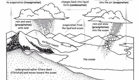 hydrologic cycle worksheets