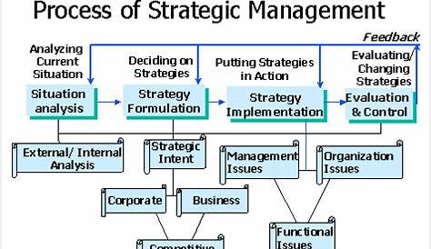 Strategy Management - 2 March 2011 - Damla