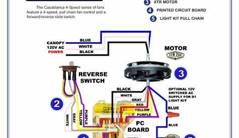 Perceptual clean up to justify 3 speed switch wiring diagram pistol