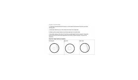 Virtual Microscope Lab Worksheet Answers - Promotiontablecovers