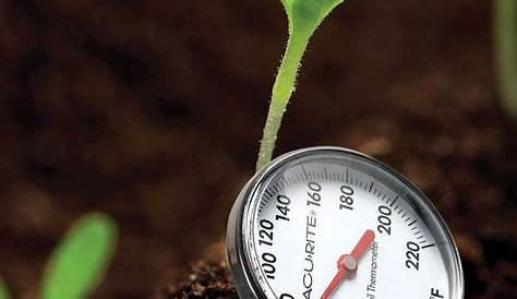 best temperature for growing vegetables