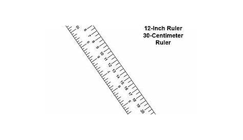 The 25+ best Printable ruler ideas on Pinterest | Back to school