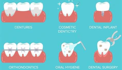 10 Most Common Dental Procedures