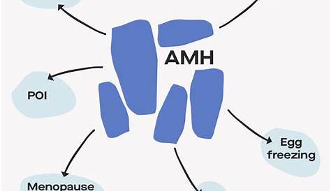 AMH levels by age: charts and fertility implications