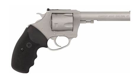 Charter Arms 79960 Pitbull 9mm Luger 5 Round 6" Stainless Steel Black