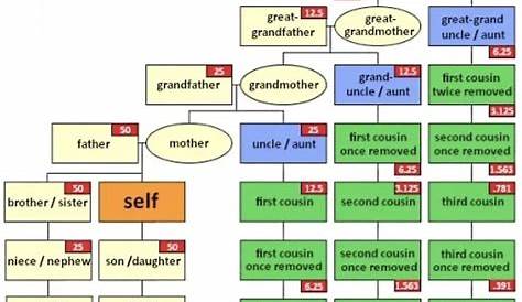 "Simple cousin explainer" by BM257D | Redbubble | Family tree explained